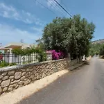 فيلة Rexhaj كساميل